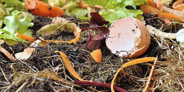 Garden Compost Sitting in a Pile